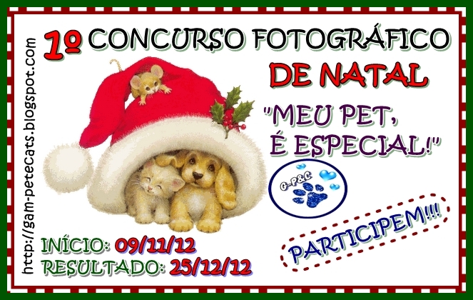 Concurso fotográfico de Natal Gam - Pet & Cats