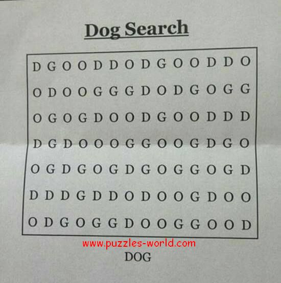 Find the Dog ! Dog Search