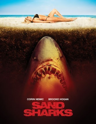 Cá Mập Cát - Sand Sharks Cá Mập Cát