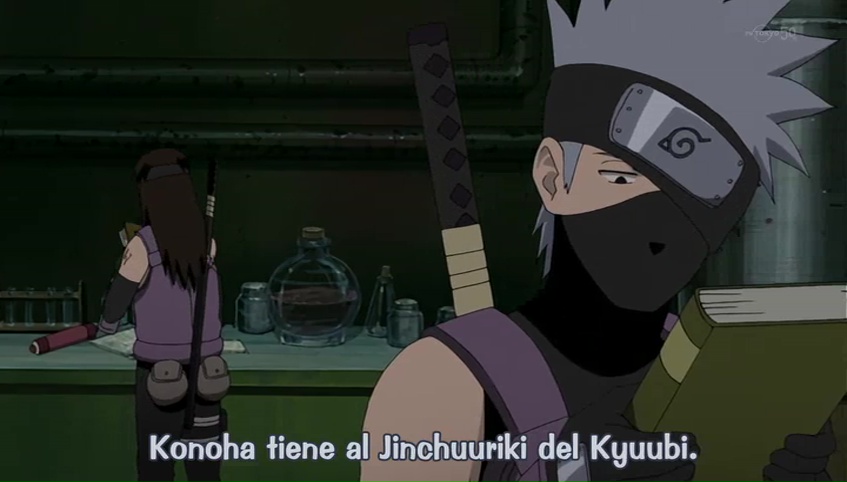 Ver Naruto Shippuden Kakashi: La Sombra de las Operaciones Encubiertas ANBU - Capítulo 355