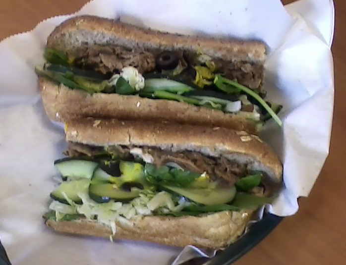 Richard Reviews Everything Subway Sandwiches Steak and Cheese