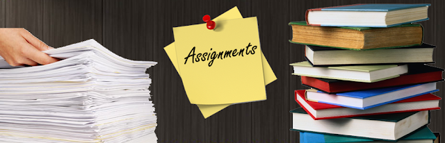 all assignment solution