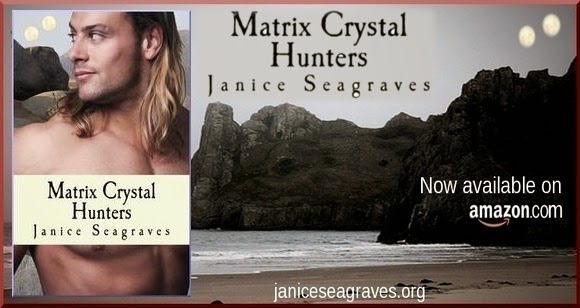 Matrix Crystal Hunters by Janice Seagraves