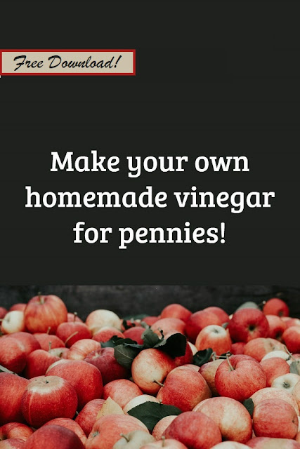 Learn how to make your own vinegar for pennies. Free ebook!