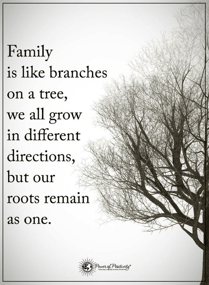 Family is like flowers in a pot, all have the same roots Quotes Quotes