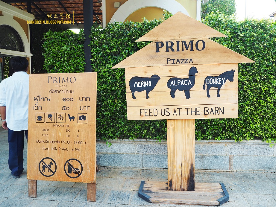 [考艾行程篇] Primo Piazza 在泰版意大利城喂草泥马 khao yai