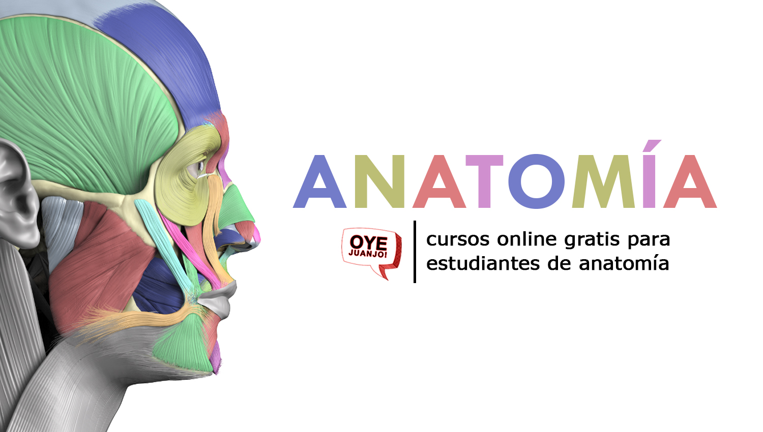 tuyo justa pañuelo Cursos online gratis para estudiantes de Anatomía