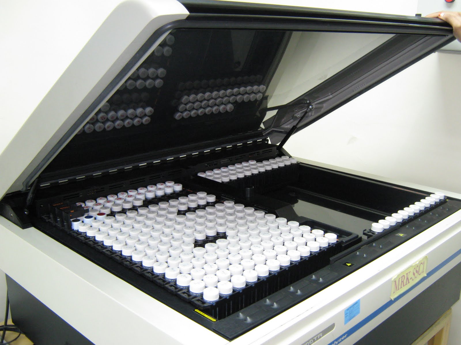 Environmental Study: LSC