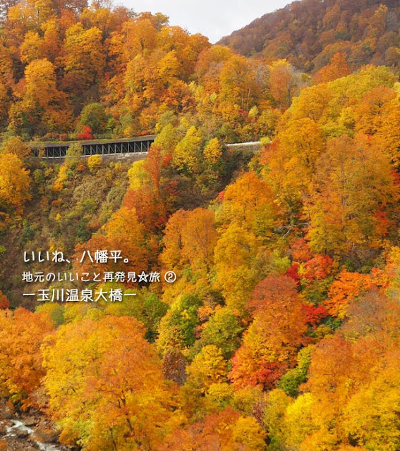 玉川温泉大橋から見る紅葉