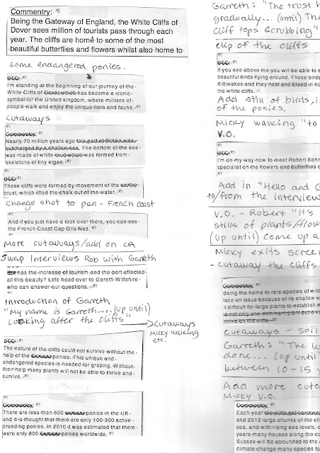 Post-Production Script development