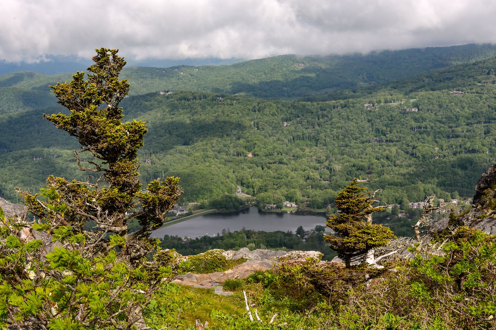 Bubba's Garage Grandfather Mountain Road Trip