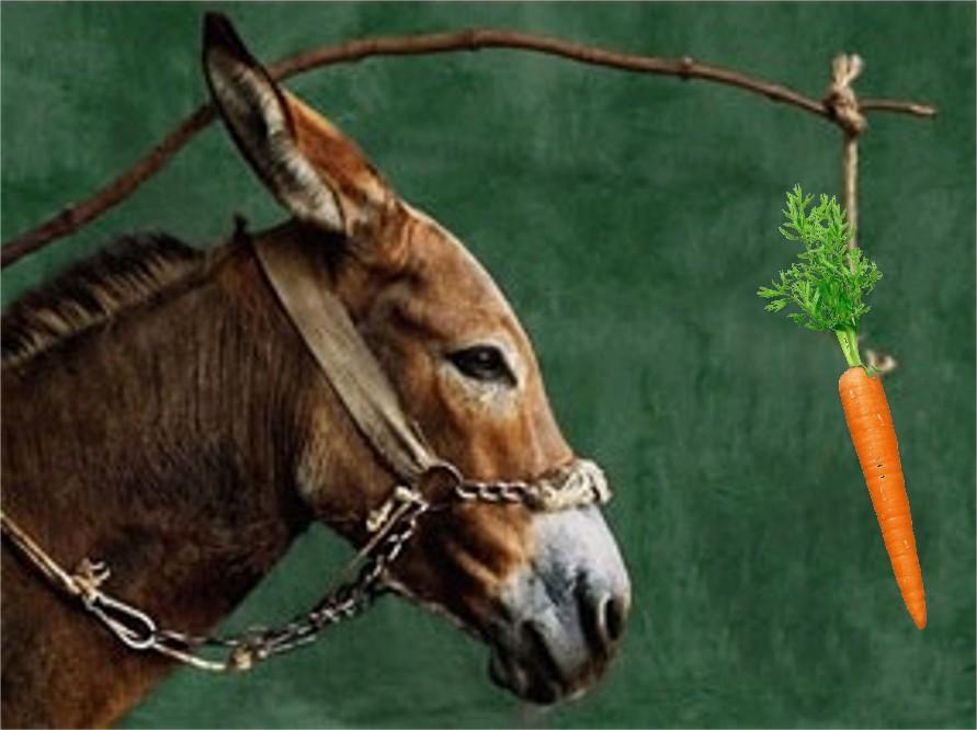 Donkey Carrot Stick