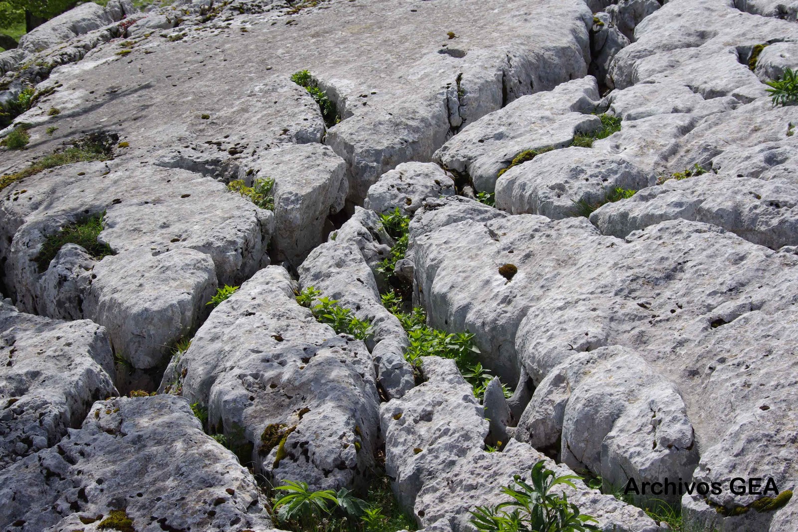 GEOMORFOLOGÍA: MODELADO KÁRSTICO