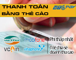 tich hop thanh toan vtc pay