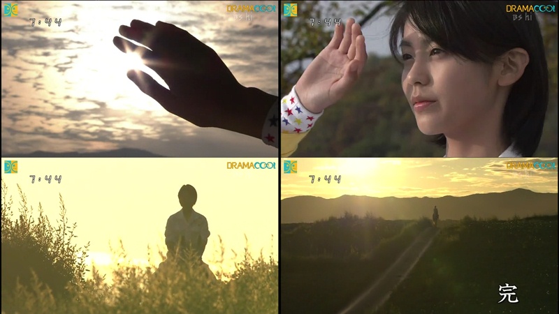 Get Review Asadora Fight 2005 Clover Blossoms For Free Get Wallpaper Review Asadora Fight 2005 Clover Blossoms Free