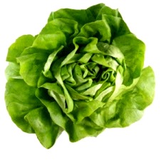 Lechuga Foto de la lechuga, hortaliza color verde