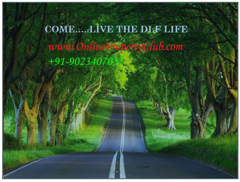 DLF IN MULLANPUR, NEWCHANDIGARH