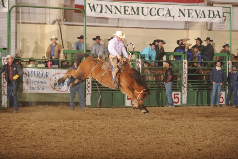 Buckaroo Leather Horse Tack, Use, Care and Maintenance Buckaroo Leather at the Ranch Hand Rodeo