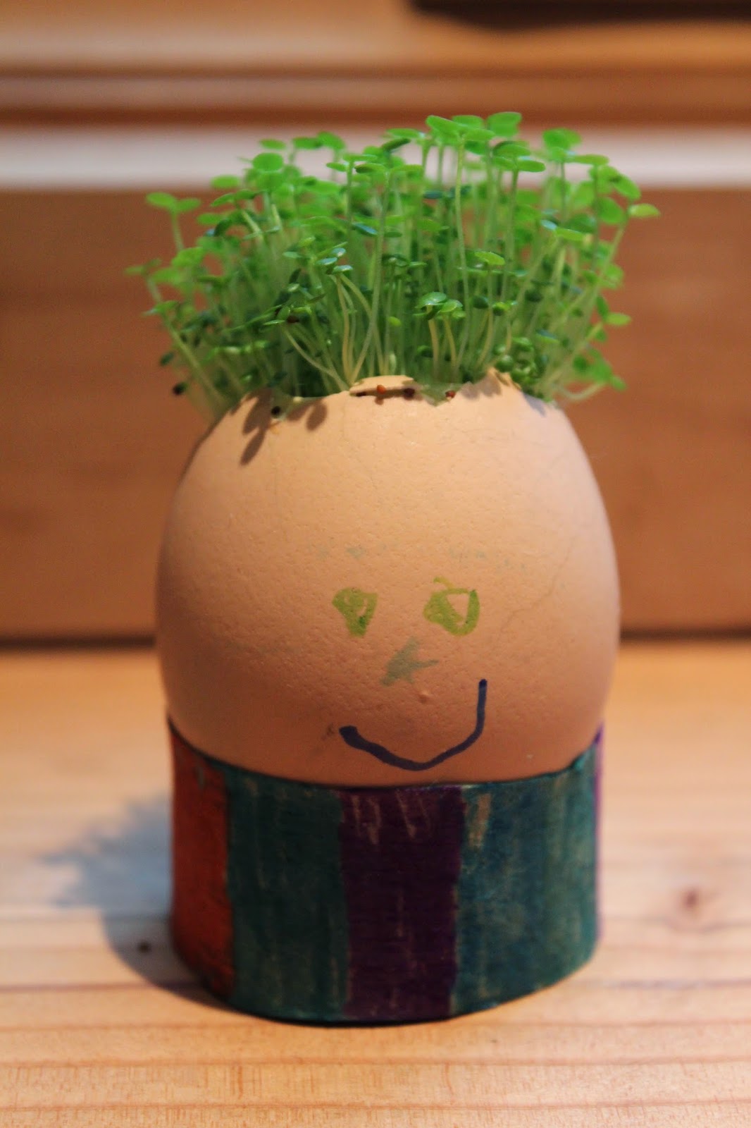 The Blue Barn Cress Heads the-blue-barn-cress-heads