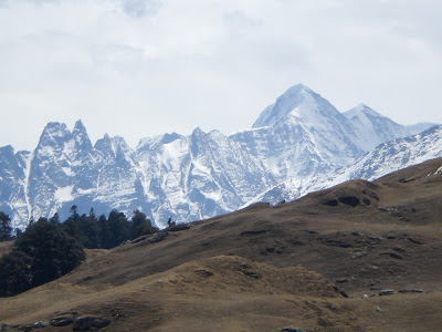 Gorson Top, Trishul peaks, Gorson Bugyal, Auli, Garhwal, Uttarakhand, weekend getaway, Himalayas, trek