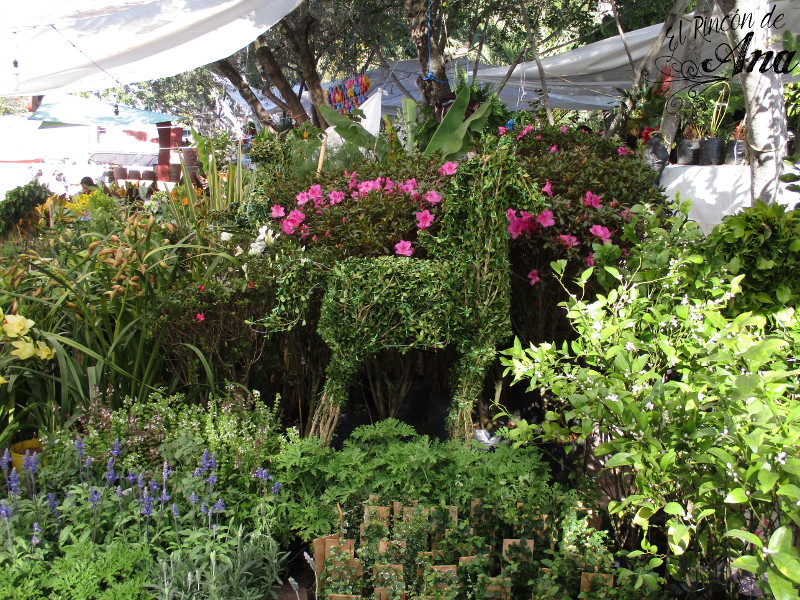 feria de la candelaria 2017