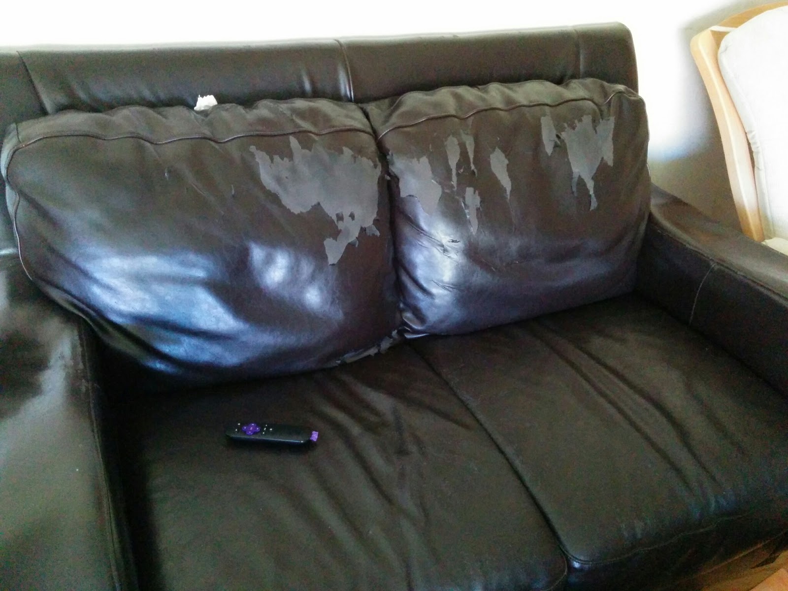 How to Buy a Sofa without Toxic Flame Retardants Econovice