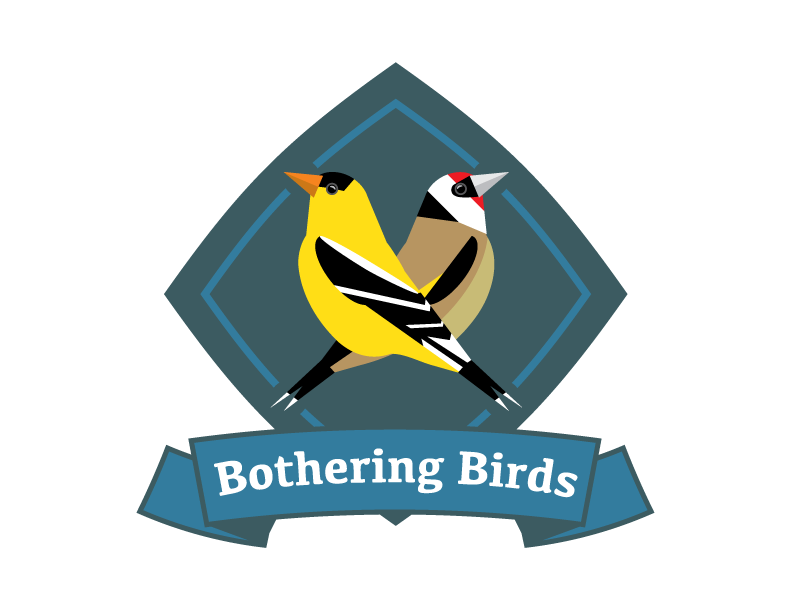 Bothering Birds
