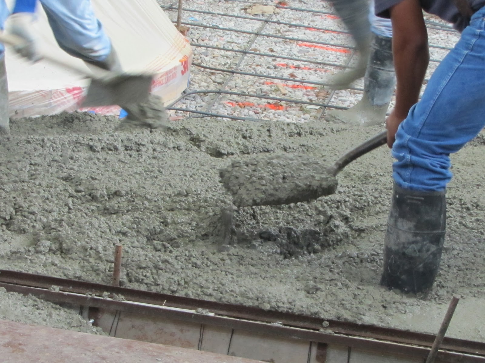 Jill of All Trades Concrete Jungle