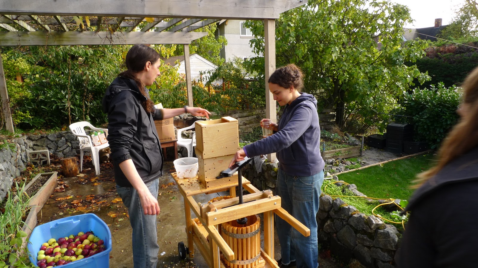Wild Harvests Cider Pressing