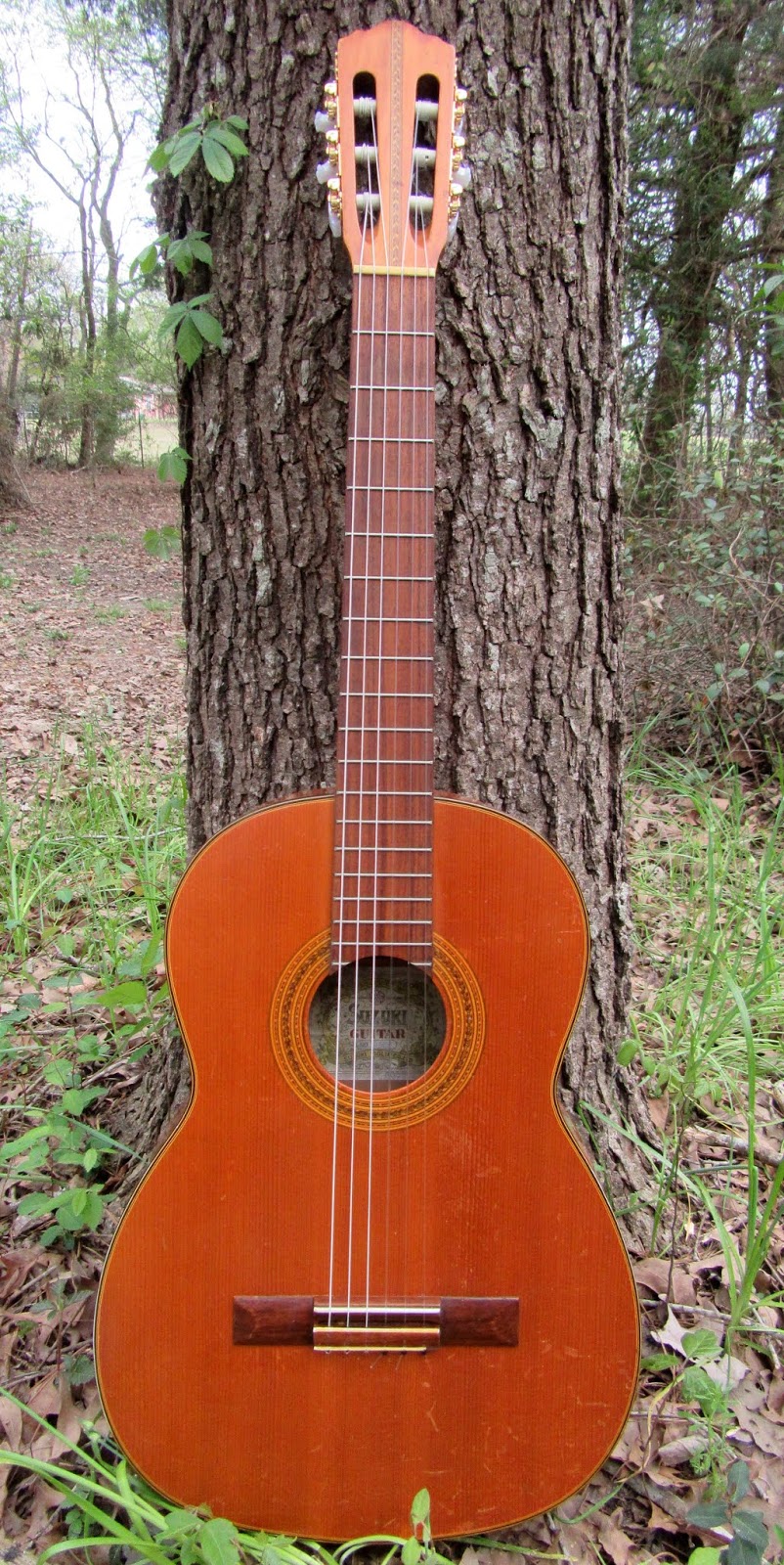 The older you will get... Suzuki Classical Guitar...