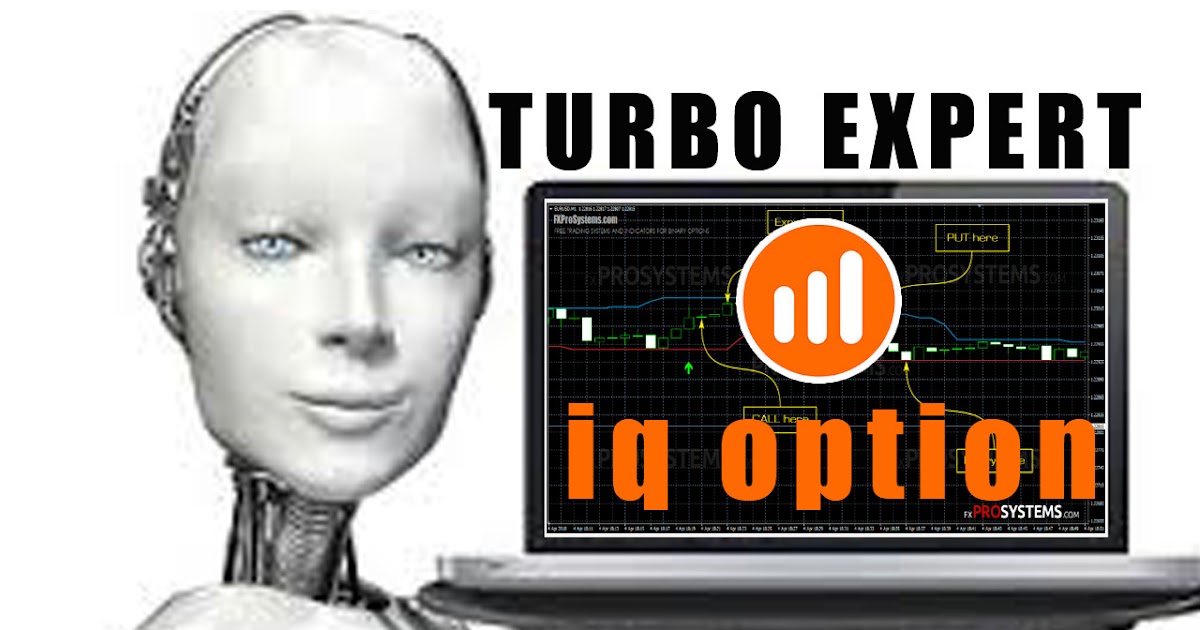 The binary options experts