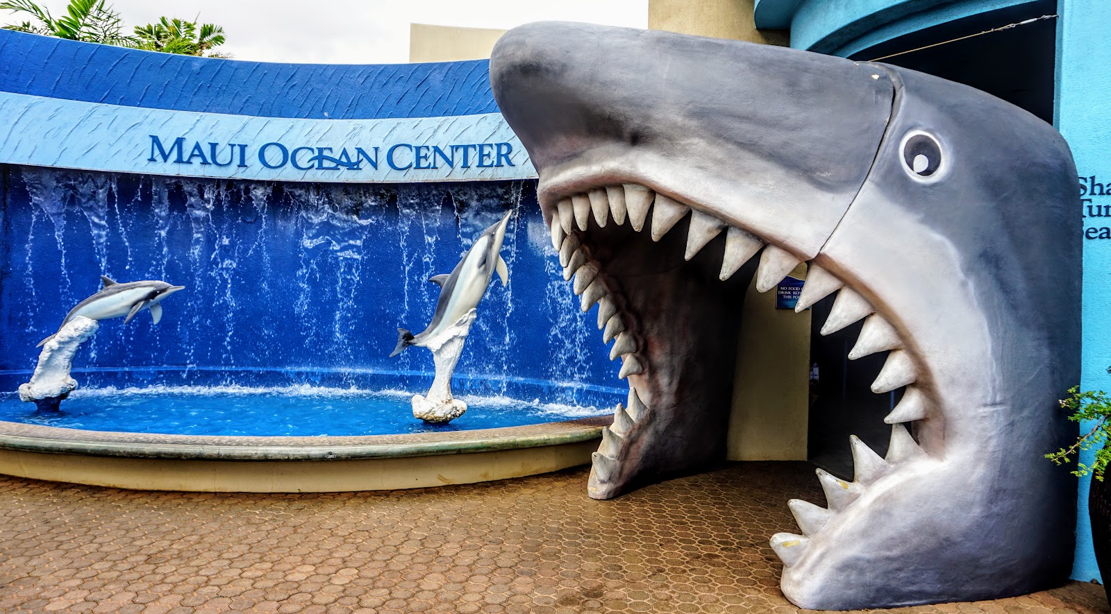 Explore Hawaii's Underwater World at the Maui Ocean Center