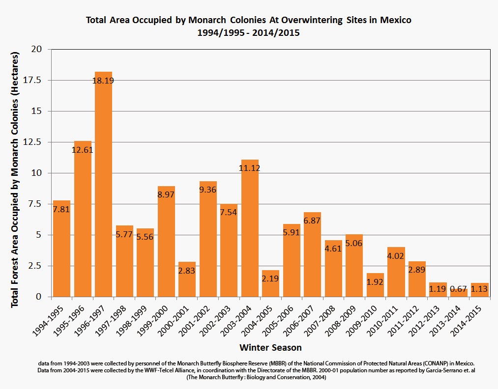 SAVE THE MONARCH BUTTERFLIES