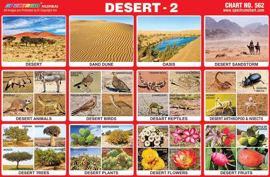 Desert Chart