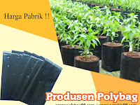 Plastik Polybag Murah