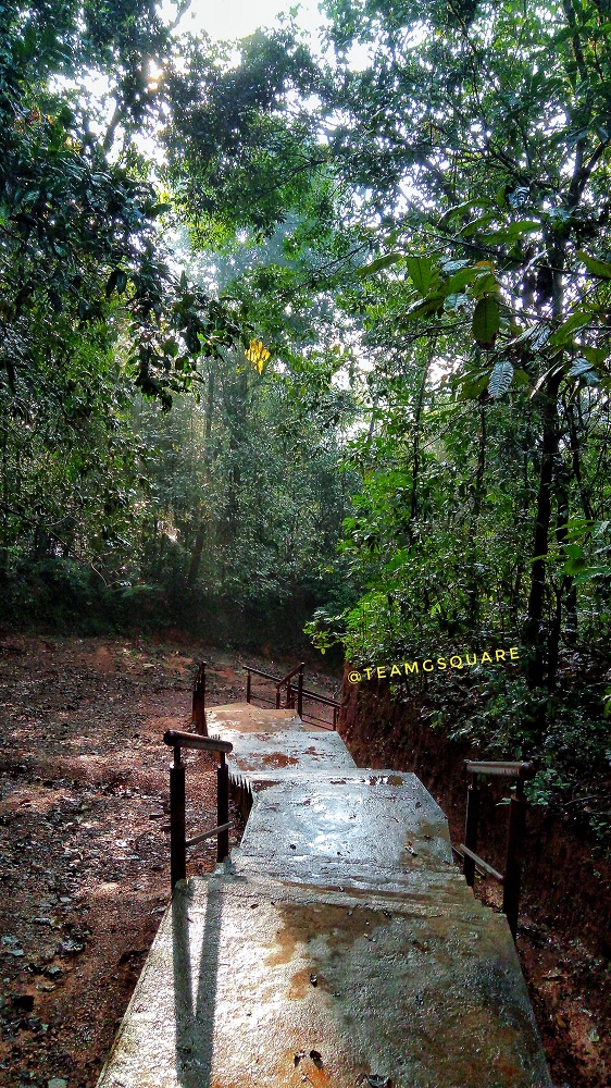 Trek at Unchalli Waterfalls ,Sirsi, Uttara Kannada 