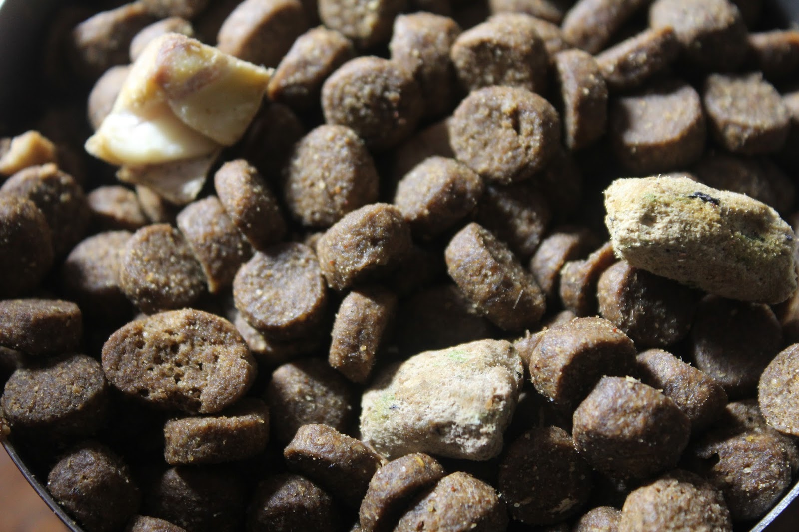 Dog Madness PowerFusion Grain Free Raw Infused Dog Food Is Pawesome