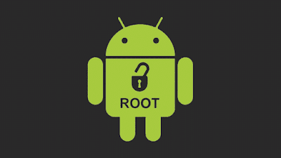 root