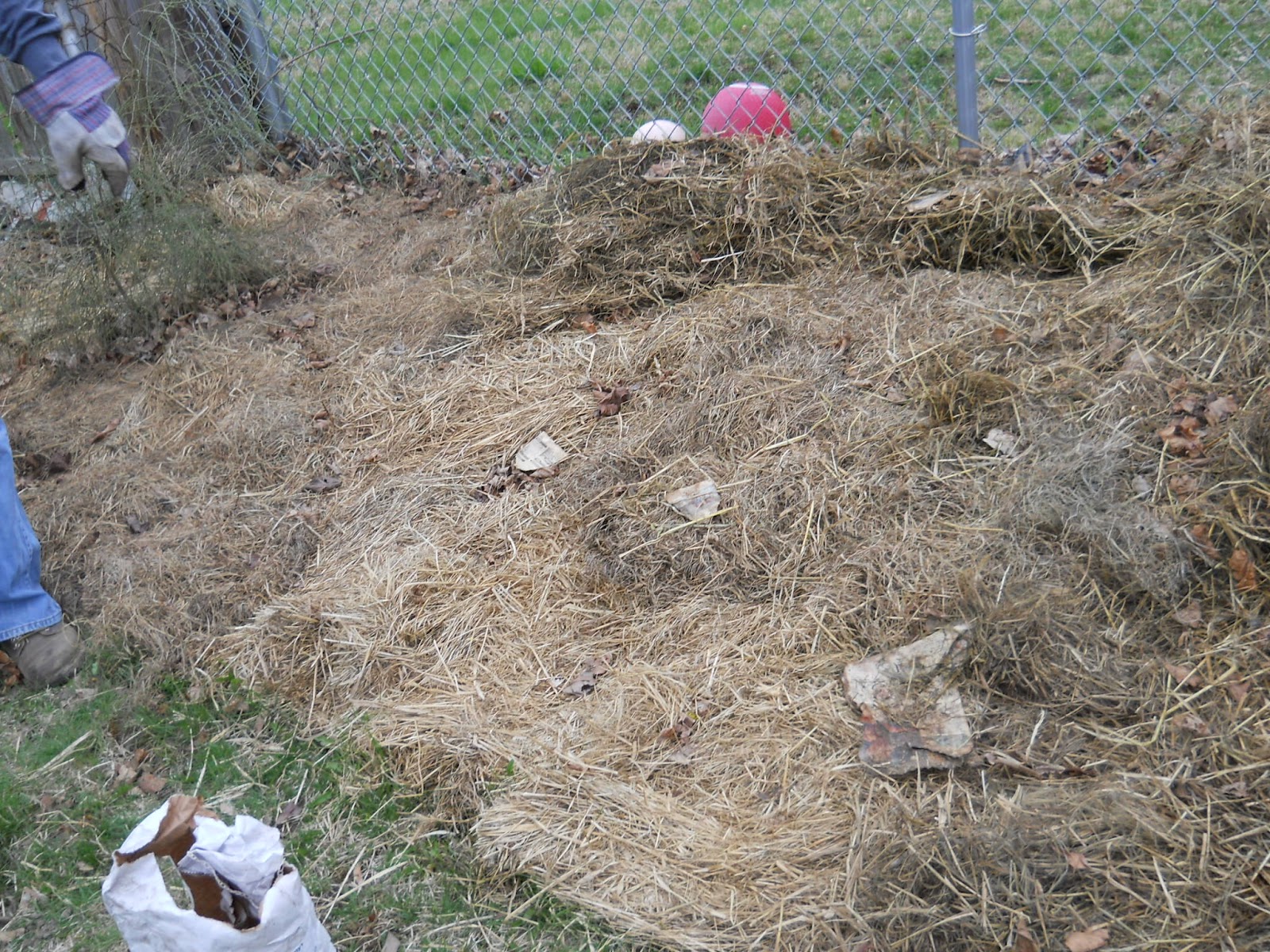 Adventure on Earth A tale of two Potato beds...
