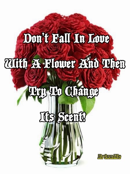 Don't Fall In Love With A Flower And Then Try To Change Its Scent!