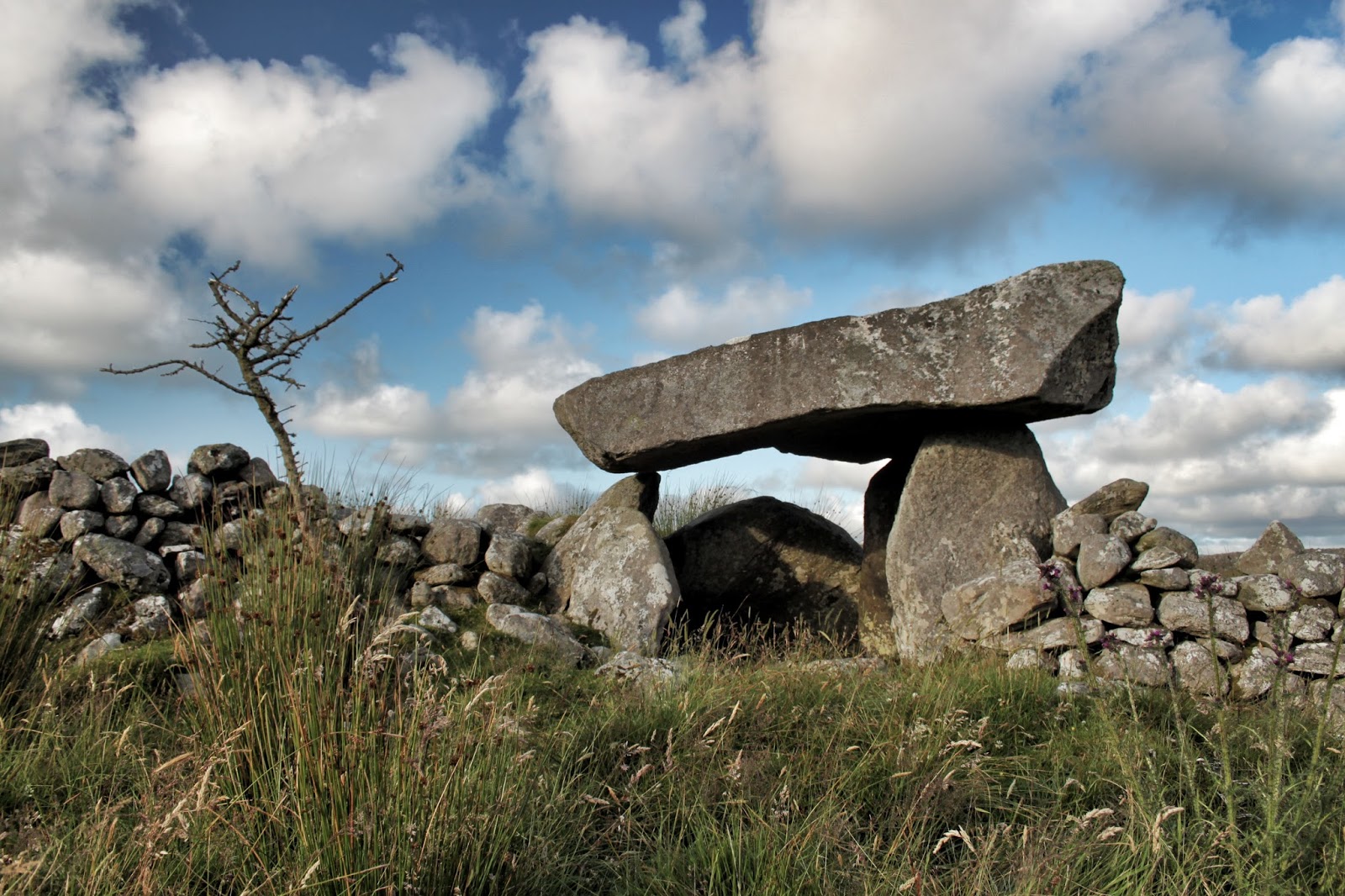 Historic Sites of Ireland Tawnatruffaun Portal Tomb