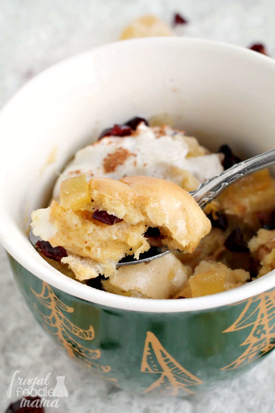 Frugal Foodie Mama CranberryGinger Eggnog French Toast for One