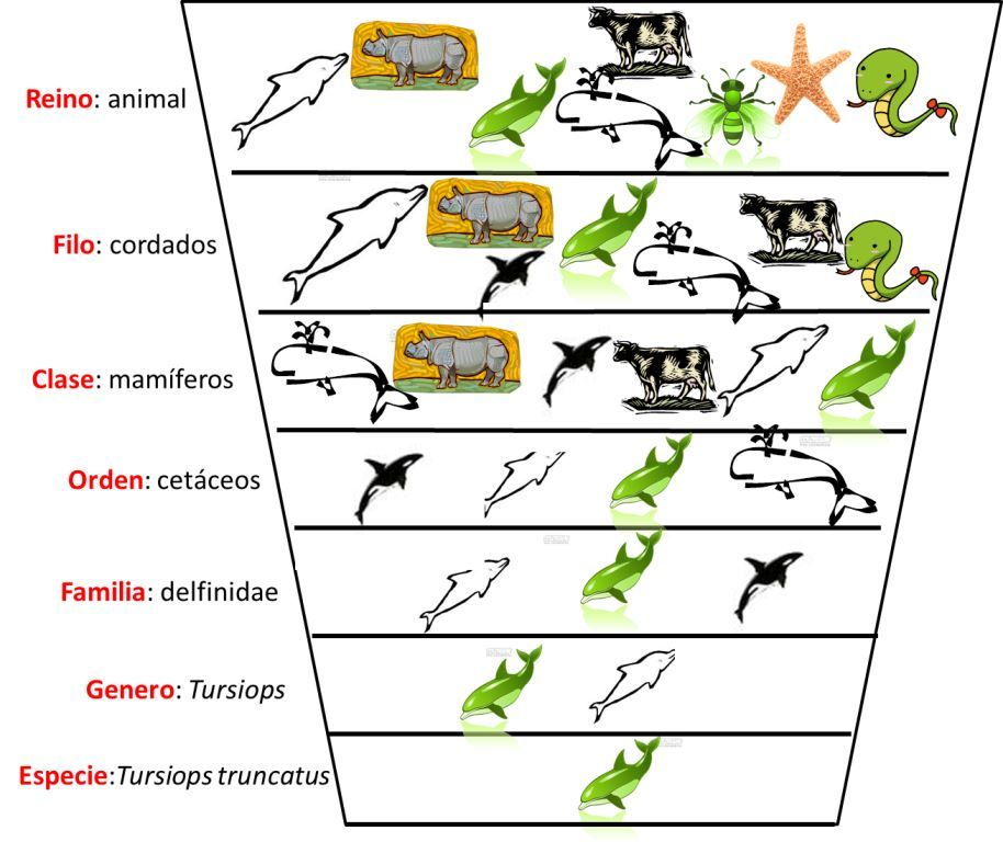 SKHOLÉ UNA EXPERIENCIA PEDAGÓGICA EN MEDELLÍN Actividades y ejemplos