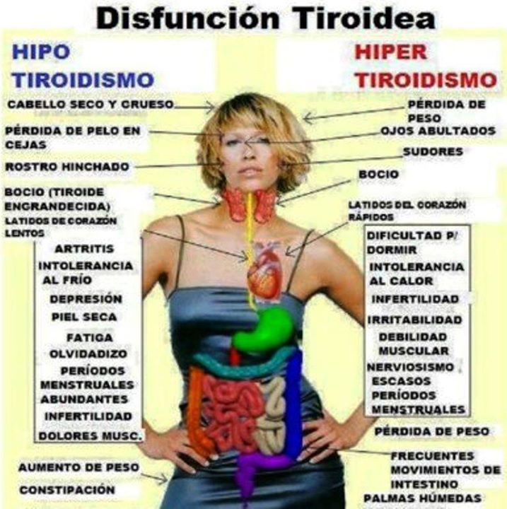 Hipertiroidismo O Que Causas Sintomas E Tratamentos Dicas Mobile