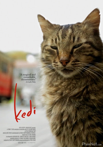 Phim Thế Giới Loài Mèo - Kedi (2017)