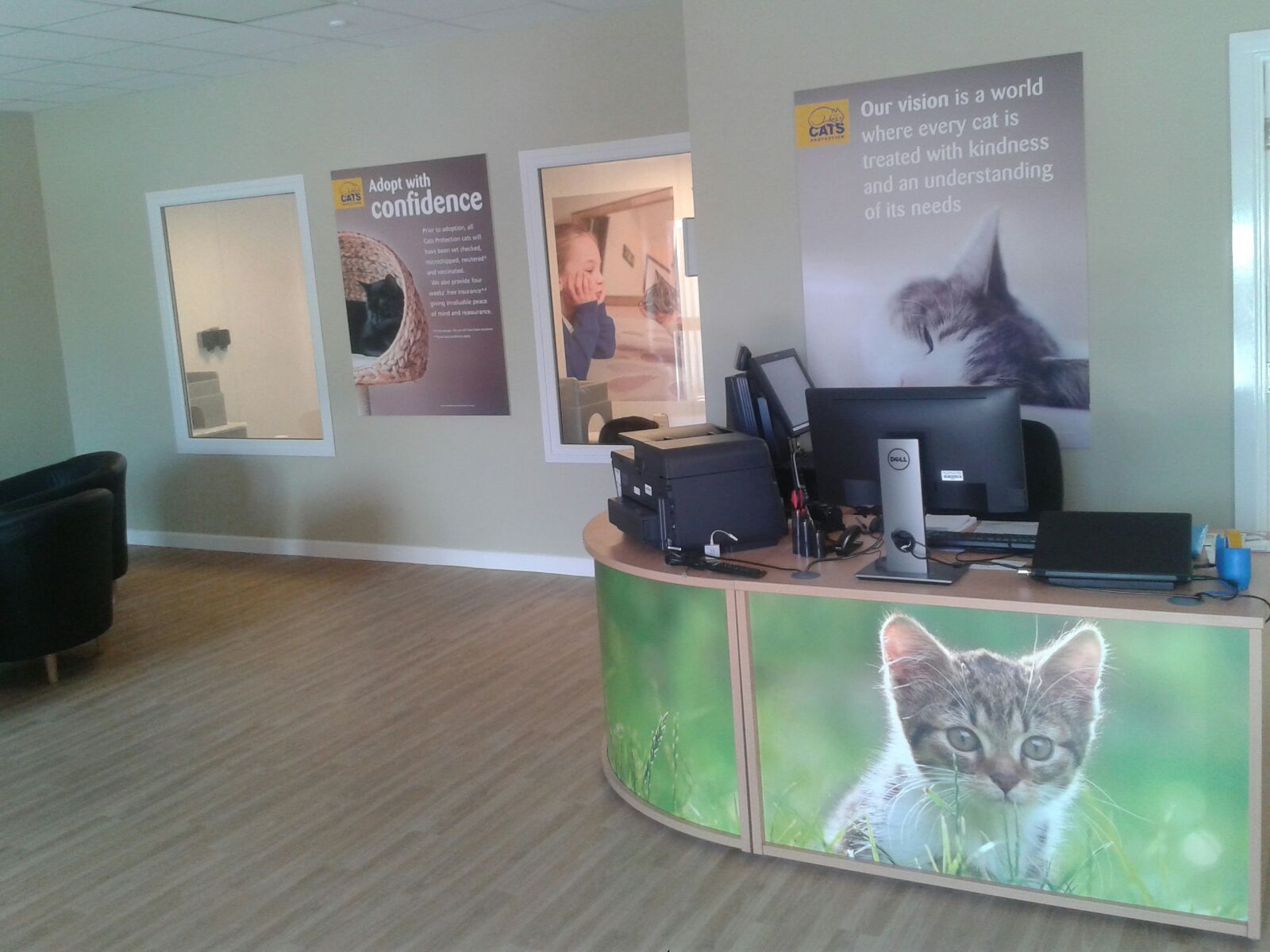 Cats Protection Exeter Axhayes Adoption Centre Cats Protection Taunton Rehoming and