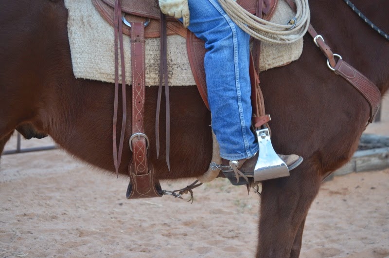 Functional Horsemanship Speeding Up a Slowing Walking Horse