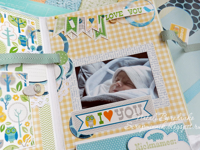 scrap album, handmade, fotoalbum, for newborn, scrap foto,handmadescrapalbums, dcwv