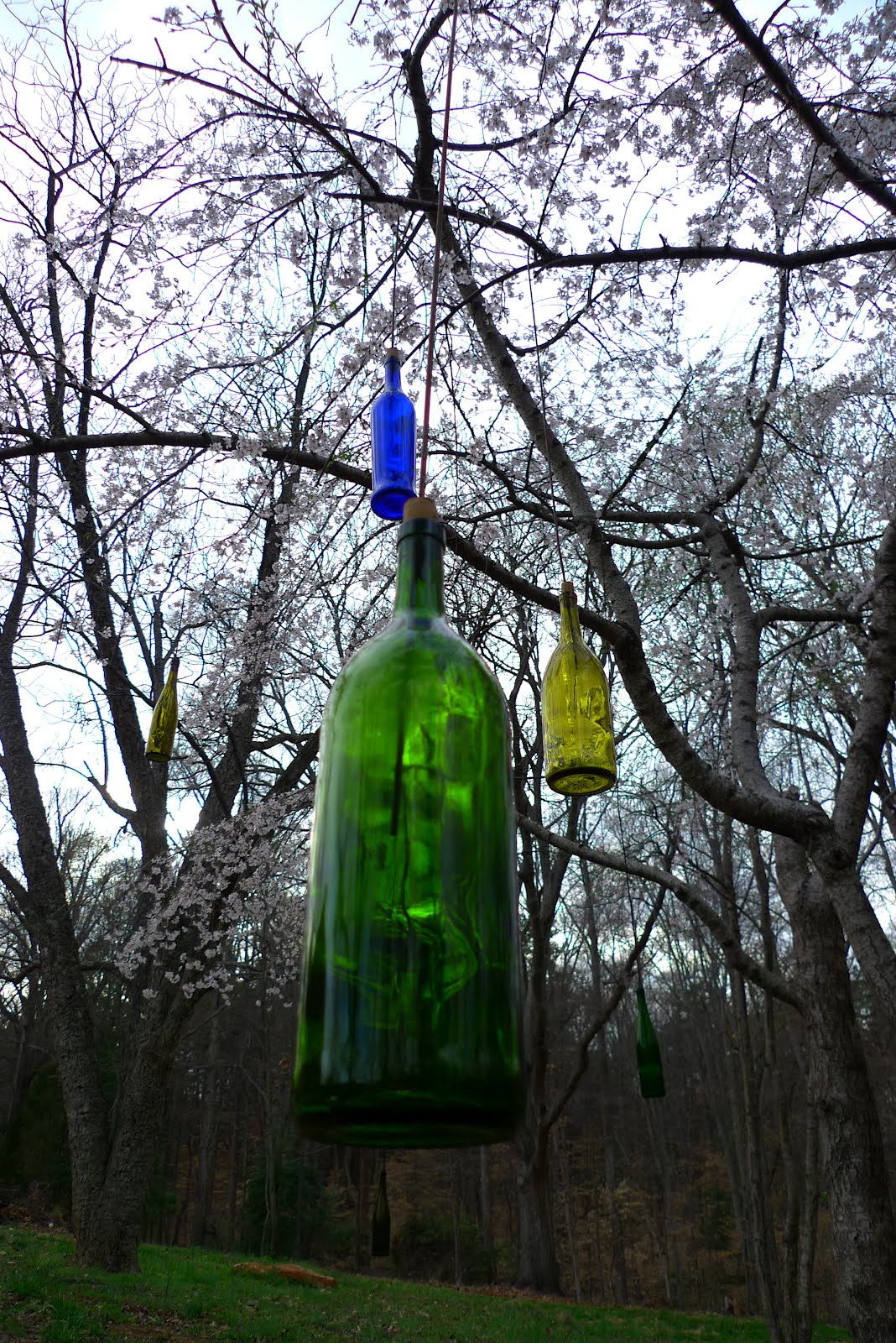 Robert Oren Eades Outsider Art Hanging Bottles