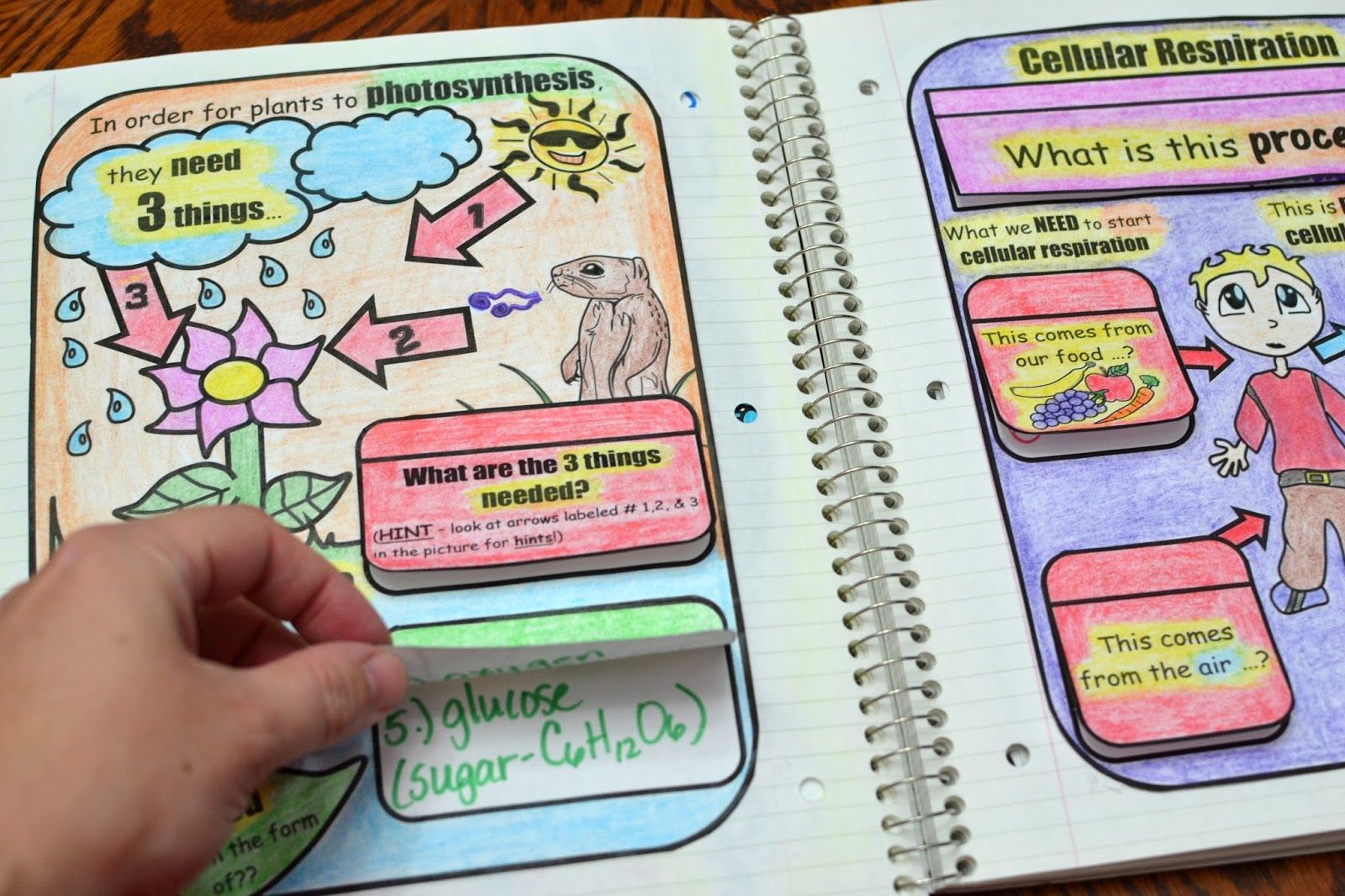 Math In Demand Science Interactive Notebook Cells Math In Demand Science Interactive Notebook Cells